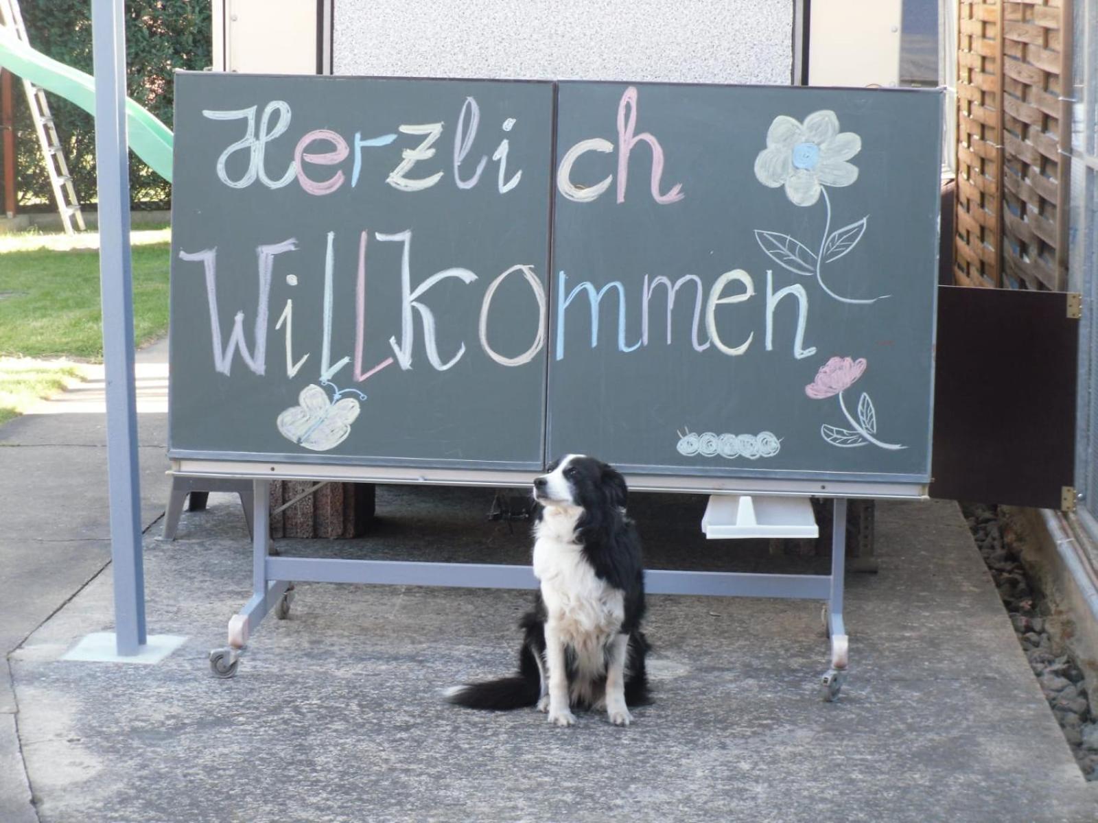 Ferienwohnung Ferienwohnwagen Rudolf Coswig  Exterior foto